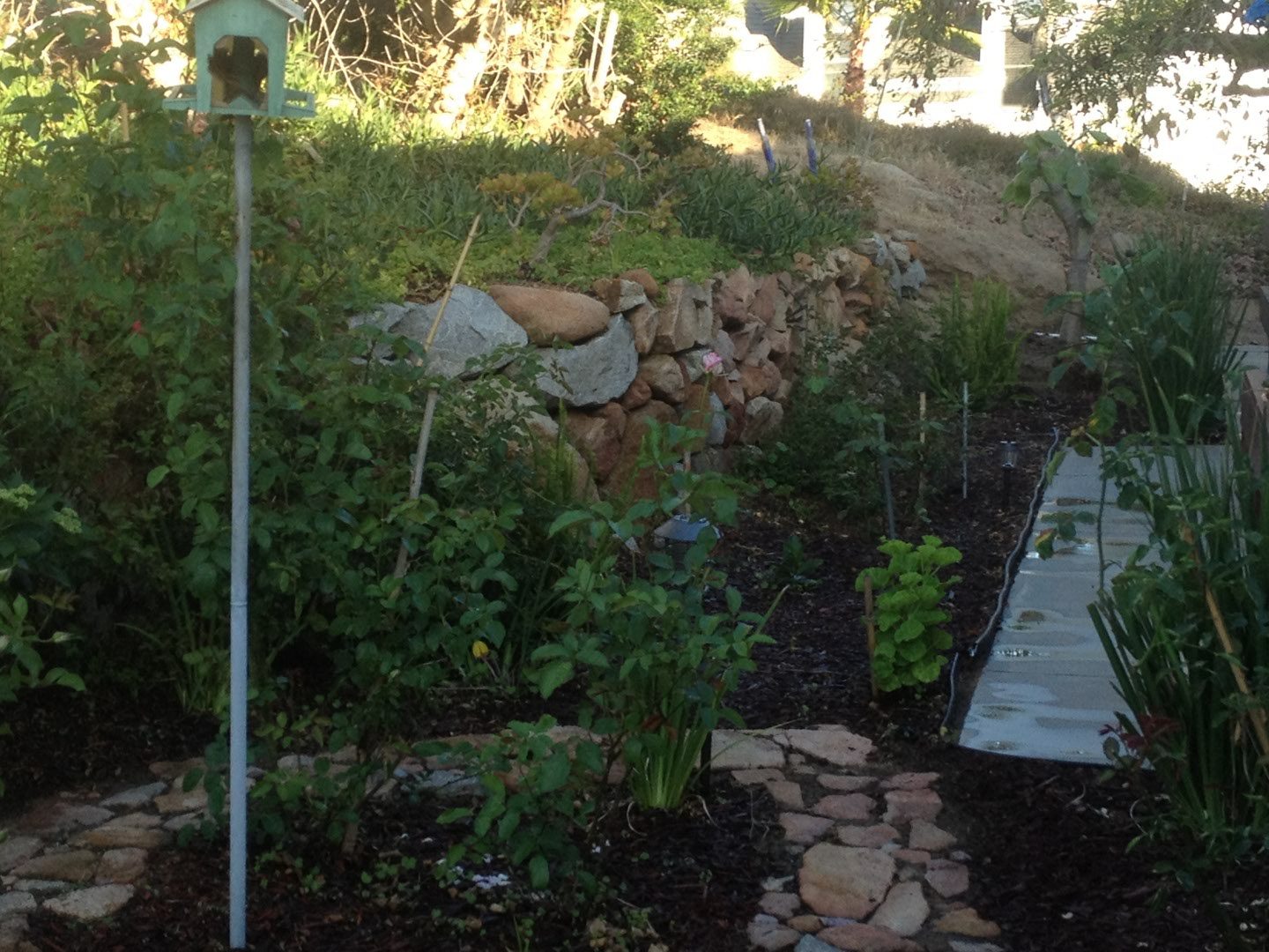 2406 photo 26